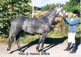 Hagens Royal
