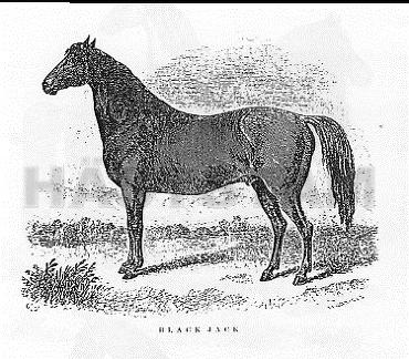 Black Jack 