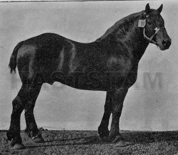 L'Empereur
