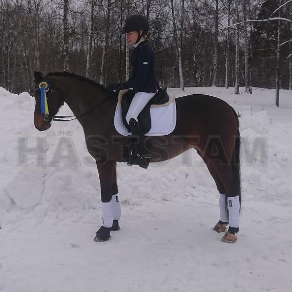 Minigårdens Ronja Rövardotter