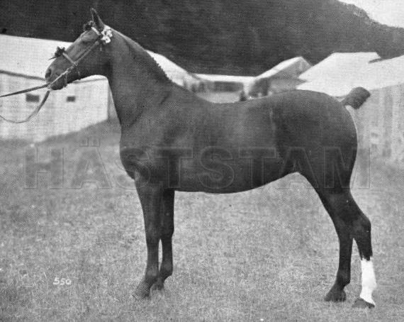 Atania