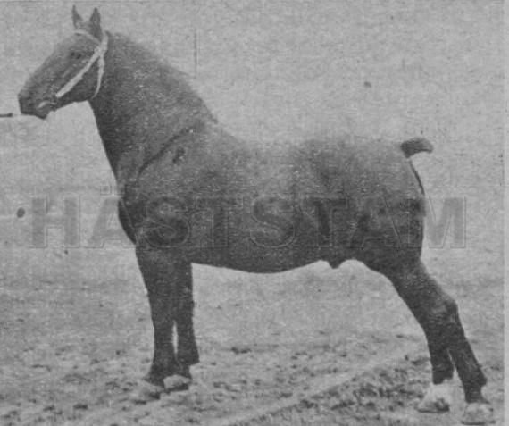 Hertog Hendrik