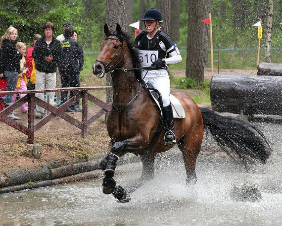 Carrig Puissance Clover