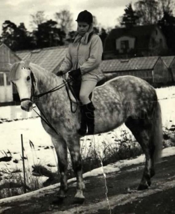 Grey Lass of Silverlea