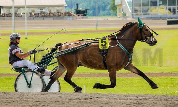 Lill Rikard