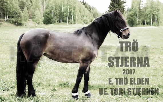 Trö Stjerna (NO)