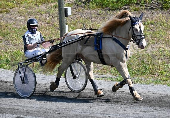 Vejmo Prinsen