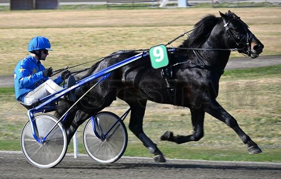 Haws Oddvar