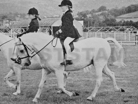 Twyford Princess