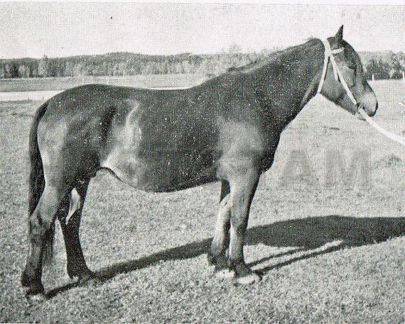 Narida