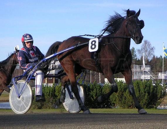 Aces Didrik