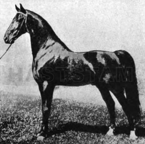 Rex Monroe