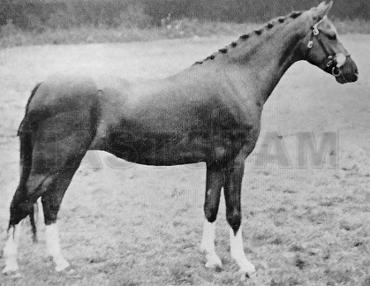Reeves Fairy Lustre