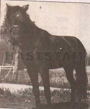 Bjärs Regent