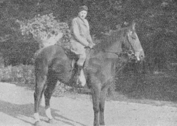 Herta (65)