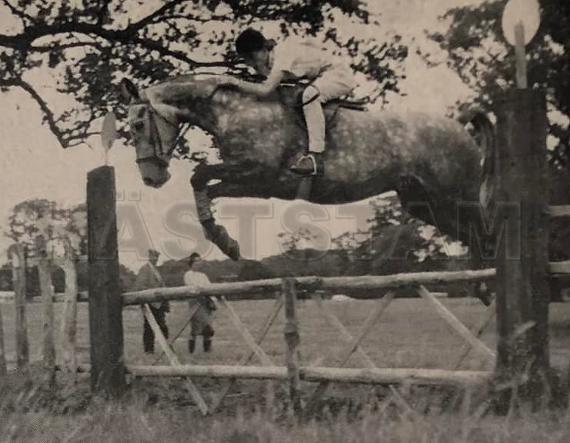 Cluggan Dandy