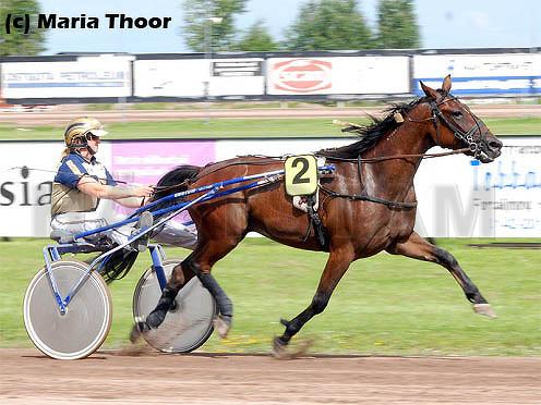 Ludde