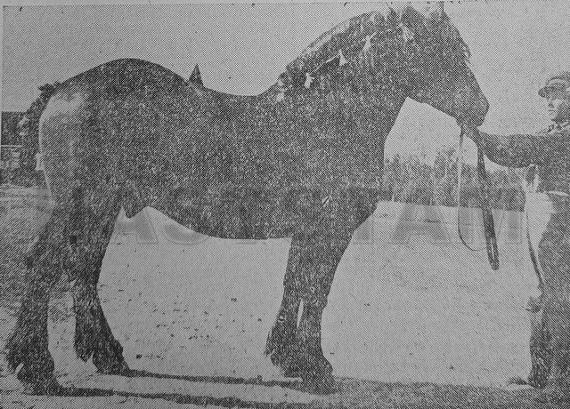 Zar-Viron