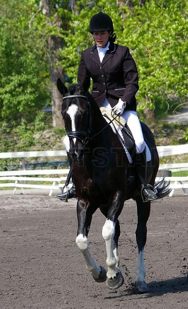 Gaucho