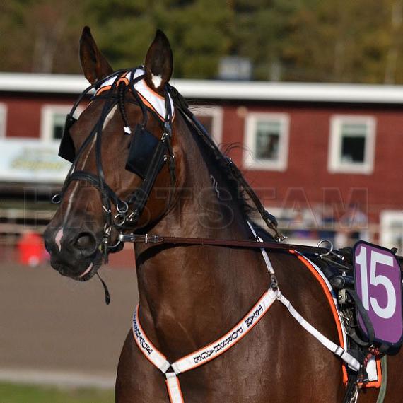 All Around Ås