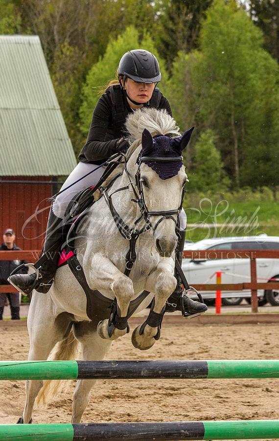 Gräns Rosmarin