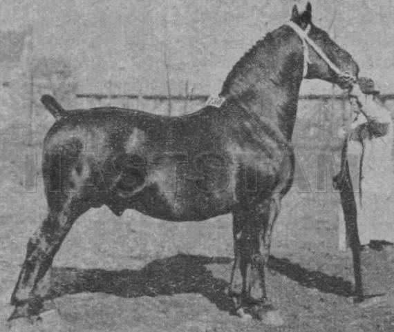 Ferdinand