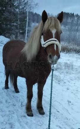 Sól från Per-Svensas