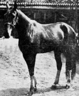 Lucky Strike (DK)