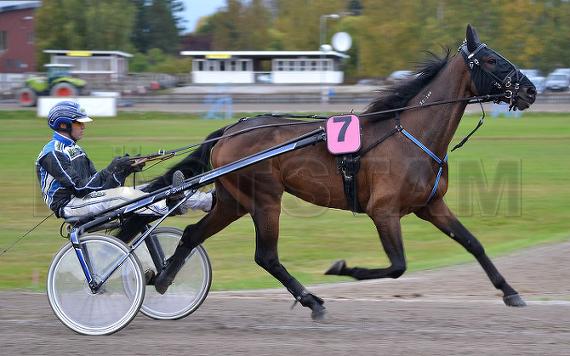 Baron Hornline