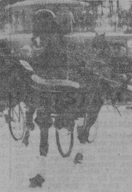 Prins Chilton