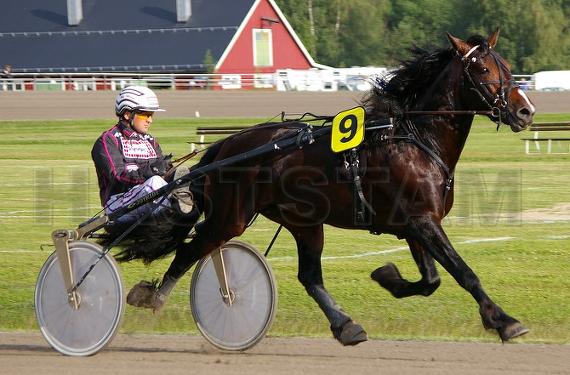 Gys Elden
