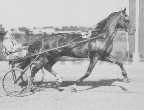 Sterton (DE)