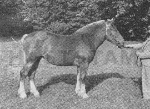 Lorette