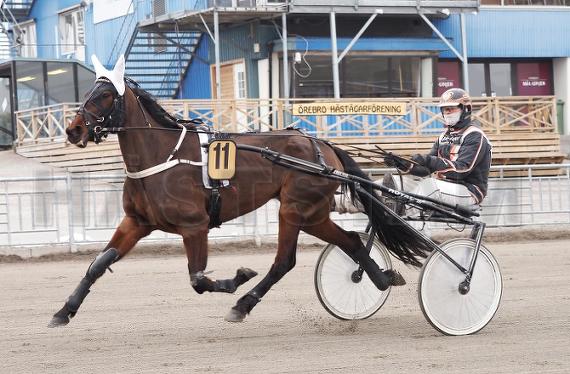 Fairytale Trot