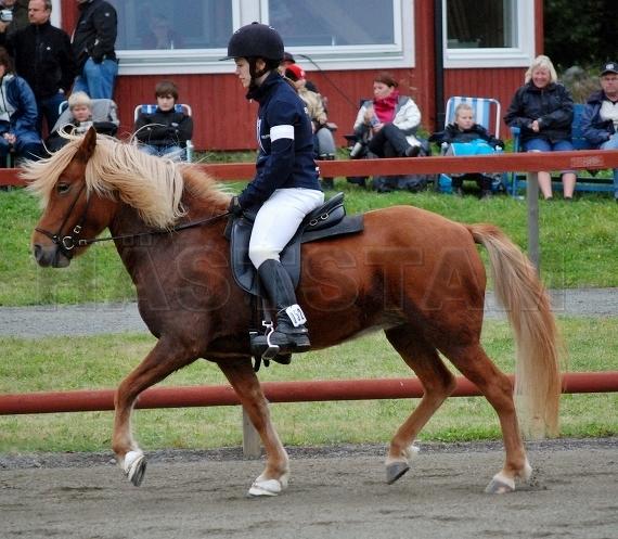 Timbiltá från Pellagården