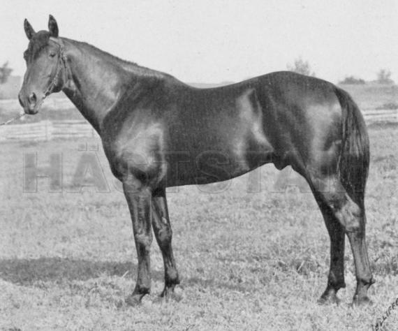 Cleveland Farnley