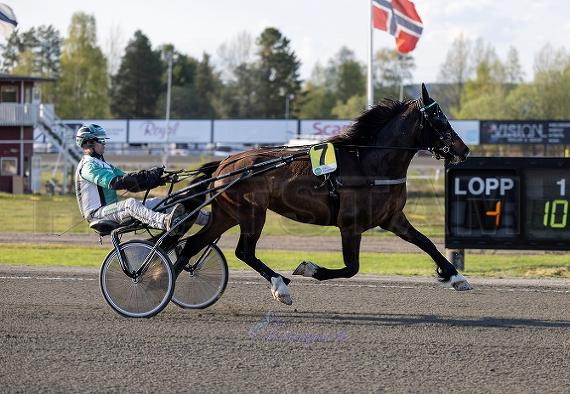Vännfors Jerven