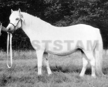 Bywiog Silver Toy
