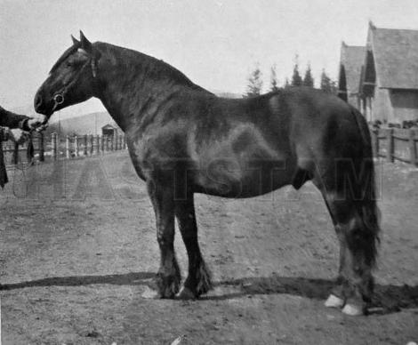 Oddvar