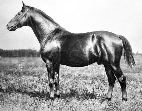 Schwindler