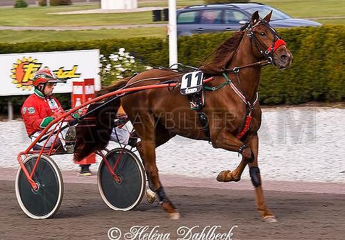 Ovidus de Retz (FR)
