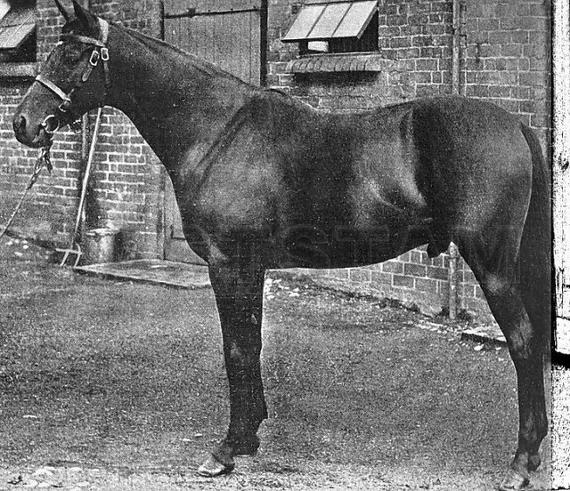 Pericles xx