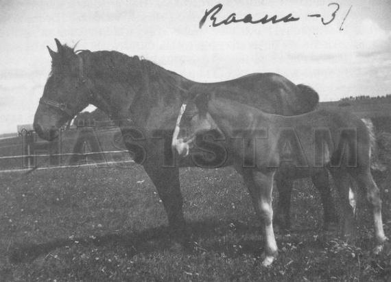 Raana