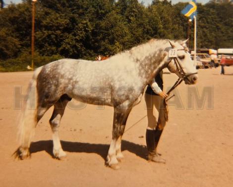 Athos