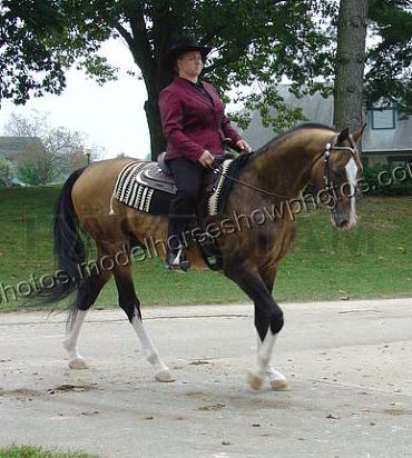 1268 Peiter