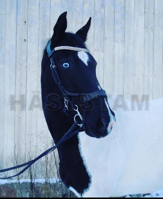 JJ Only Eyes For You