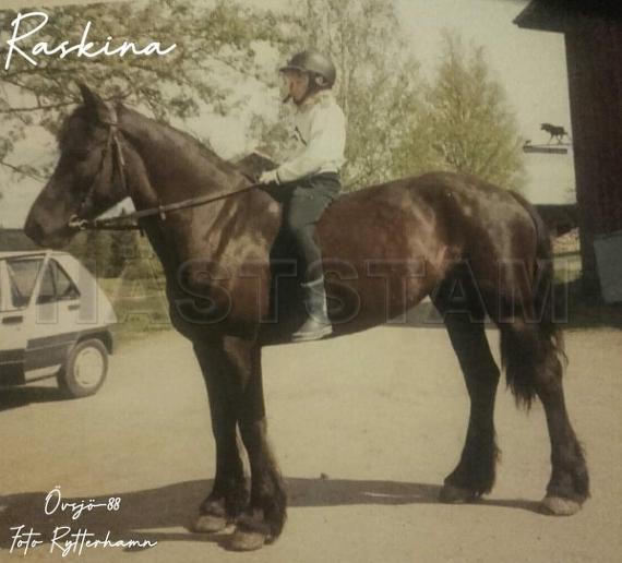 Raskina
