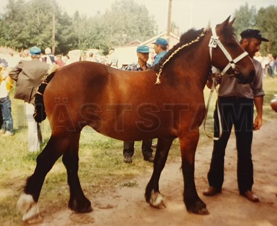Raja II