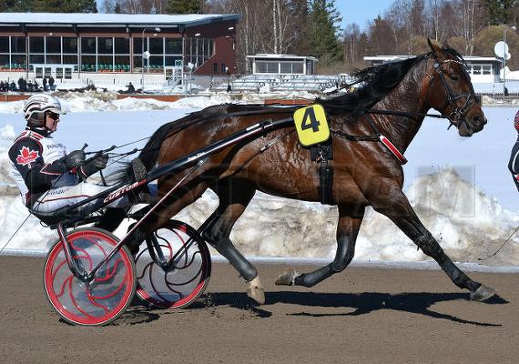 Wizard Simoni (DK)