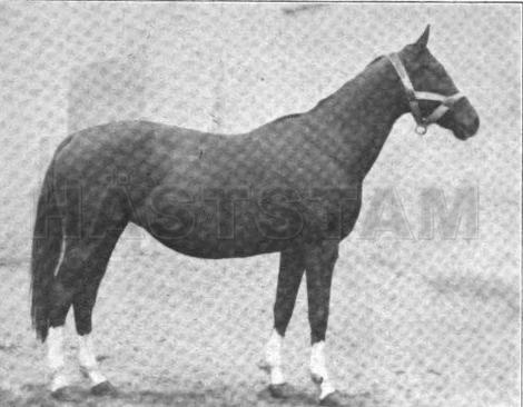 117 Maxim